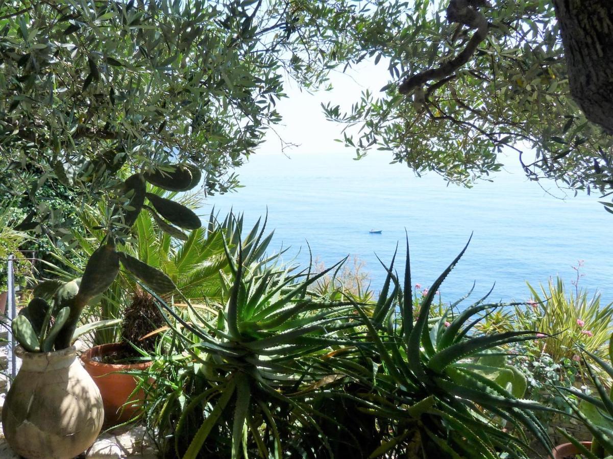 Le Case Di Recco By Holiday World Exterior photo